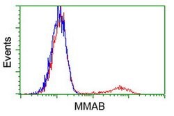 MMAB Mouse anti-Human, Clone: OTI2A7, lyophilized, TrueMAB 100 &mu;g | Buy Online | Origene Technologies | Fisher Scientific