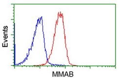 MMAB Mouse anti-Human, Clone: OTI2A7, lyophilized, TrueMAB 100 &mu;g | Buy Online | Origene Technologies | Fisher Scientific