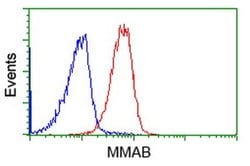 MMAB Monoclonal Antibody (OTI2A7), TrueMAB , OriGene 100 &mu;L; Unconjugated:Antibodies,