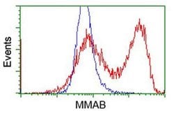 MMAB Monoclonal Antibody (OTI1G3), TrueMAB , OriGene 30 &mu;L; Unconjugated:Antibodies,
