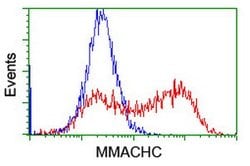 MMACHC Mouse anti-Human, Clone: OTI6H5, lyophilized, TrueMAB 100 &mu;g;