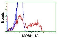 MOBKL1A Mouse anti-Human, Clone: OTI1H8, lyophilized, TrueMAB 100 &mu;g;