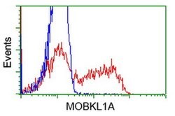 MOBKL1A Monoclonal Antibody (OTI1H8), TrueMAB , OriGene 100 &mu;L; Unconjugated:Antibodies,