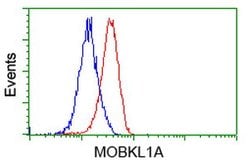 MOBKL1A Mouse anti-Human, Clone: OTI1H8, lyophilized, TrueMAB 100 &mu;g;