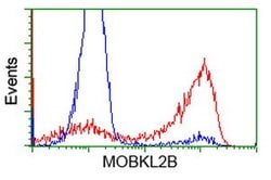 MOBKL2B Mouse anti-Human, Clone: OTI5C7, lyophilized, TrueMAB 100 &mu;g;