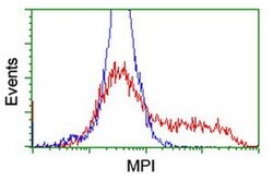 MPI Monoclonal Antibody (OTI4A11), TrueMAB , OriGene 100 &mu;L; Unconjugated:Antibodies,