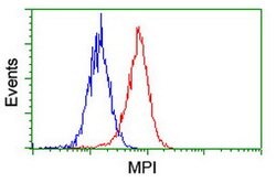 MPI Mouse anti-Human, Clone: OTI4G7, lyophilized, TrueMAB 100 &mu;g; Unconjugated:Antibodies,