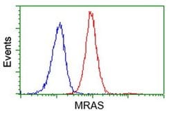 MRAS Mouse anti-Human, Clone: OTI3C4, liquid, TrueMAB 100 &mu;L; Unconjugated:Antibodies,