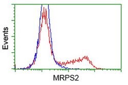 MRPS2 Mouse anti-Human, Clone: OTI4D6, lyophilized, TrueMAB 100 &mu;g;