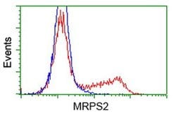 MRPS2 Monoclonal Antibody (OTI4D6), TrueMAB , OriGene 100 &mu;L; Unconjugated:Antibodies,