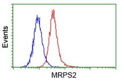 MRPS2 Mouse anti-Human, Clone: OTI4D6, lyophilized, TrueMAB 100 &mu;g;