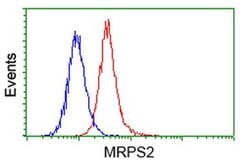 MRPS2 Monoclonal Antibody (OTI4D6), TrueMAB , OriGene 100 &mu;L; Unconjugated:Antibodies,