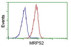 MRPS2 Mouse anti-Human, Clone: OTI4D6, lyophilized, TrueMAB 100 &mu;g;