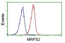 MRPS2 Monoclonal Antibody (OTI4D6), TrueMAB , OriGene 100 &mu;L; Unconjugated:Antibodies,