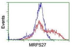 MRPS27 Mouse anti-Human, Clone: OTI1A2, lyophilized, TrueMAB 100 &mu;g;