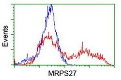 MRPS27 Monoclonal Antibody (OTI3D9), TrueMAB , OriGene 100 &mu;L; Unconjugated:Antibodies,