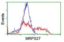 MRPS27 Monoclonal Antibody (OTI1A5), TrueMAB , OriGene 100 &mu;L; Unconjugated:Antibodies,