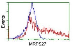 MRPS27 Mouse anti-Human, Clone: OTI6E5, lyophilized, TrueMAB 100 &mu;g;