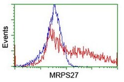 MRPS27 Mouse anti-Human, Clone: OTI6E5, liquid, TrueMAB 100 &mu;L; Unconjugated:Antibodies,