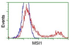 MSI1 Monoclonal Antibody (OTI1G8), TrueMAB , OriGene 100 &mu;L; Unconjugated:Antibodies,