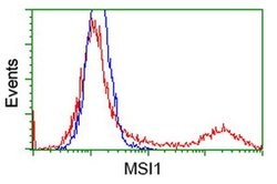MSI1 Monoclonal Antibody (OTI2A10), TrueMAB , OriGene 100 &mu;L; Unconjugated:Antibodies,