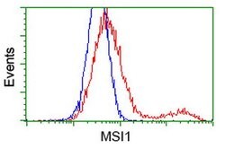MSI1 Mouse anti-Human, Clone: OTI2H9, lyophilized, TrueMAB 100 &mu;g; Unconjugated:Antibodies,
