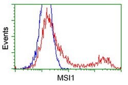 MSI1 Mouse anti-Human, Clone: OTI2E9, lyophilized, TrueMAB 100 &mu;g; Unconjugated:Antibodies,