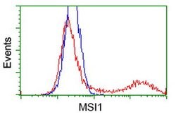 MSI1 Mouse anti-Human, Clone: OTI2F9, lyophilized, TrueMAB 100 &mu;g; Unconjugated:Antibodies,