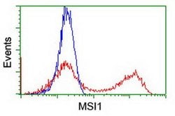 MSI1 Monoclonal Antibody (OTI2G9), TrueMAB , OriGene 30 &mu;L; Unconjugated:Antibodies,