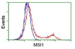 MSI1 Mouse anti-Human, Clone: OTI3G4, lyophilized, TrueMAB 100 &mu;g; Unconjugated:Antibodies,