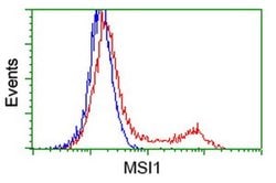 MSI1 Monoclonal Antibody (OTI3G4), TrueMAB , OriGene 30 &mu;L; Unconjugated:Antibodies,