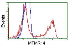 MTMR14 Monoclonal Antibody (OTI9G9), TrueMAB , OriGene:Antibodies:Primary