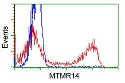 MTMR14 Monoclonal Antibody (OTI7F2), TrueMAB , OriGene 100 &mu;L; Unconjugated:Antibodies,