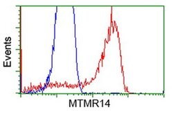 MTMR14 Monoclonal Antibody (OTI6B6), TrueMAB , OriGene 30 &mu;L; Unconjugated:Antibodies,