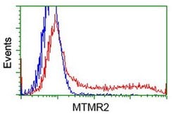 MTMR2 Monoclonal Antibody (OTI1H8), TrueMAB , OriGene 30 &mu;L; Unconjugated:Antibodies,