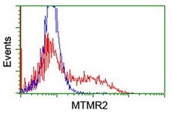 MTMR2 Mouse anti-Human, Clone: OTI5G5, lyophilized, TrueMAB 100 &mu;g;