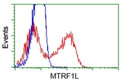 MTRF1L Monoclonal Antibody (OTI1E3), TrueMAB , OriGene 30 &mu;L; Unconjugated:Antibodies,