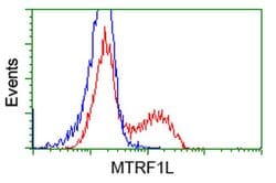 MTRF1L Mouse anti-Human, Clone: OTI2B5, liquid, TrueMAB 100 &mu;L; Unconjugated:Antibodies,