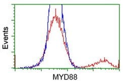 MYD88 Mouse anti-Human, Clone: OTI1B4, liquid, TrueMAB 30 &mu;L; Unconjugated:Antibodies,
