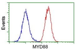 MYD88 Mouse anti-Human, Clone: OTI1B4, liquid, TrueMAB 30 &mu;L; Unconjugated:Antibodies,