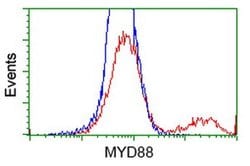 MYD88 Monoclonal Antibody (OTI1A10), TrueMAB , OriGene 30 &mu;L; Unconjugated:Antibodies,
