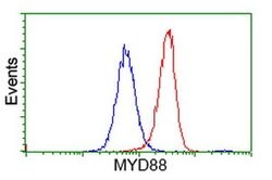 MYD88 Monoclonal Antibody (OTI1A10), TrueMAB , OriGene 30 &mu;L; Unconjugated:Antibodies,