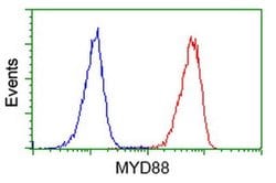 MYD88 Monoclonal Antibody (OTI1A10), TrueMAB , OriGene 30 &mu;L; Unconjugated:Antibodies,