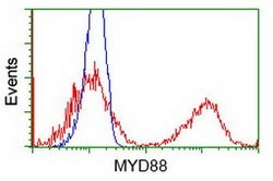 MYD88 Mouse anti-Human, Clone: OTI2B2, lyophilized, TrueMAB 100 &mu;g;