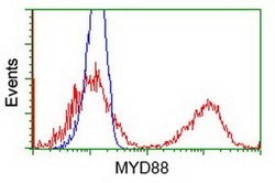 MYD88 Mouse anti-Human, Clone: OTI2B2, liquid, TrueMAB 100 &mu;L; Unconjugated:Antibodies,