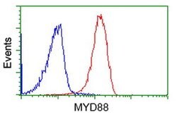 MYD88 Mouse anti-Human, Clone: OTI2B2, liquid, TrueMAB 100 &mu;L; Unconjugated:Antibodies,