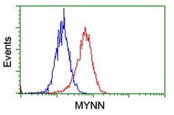 MYNN Monoclonal Antibody (OTI1F10), TrueMAB , OriGene 100 &mu;L; Unconjugated:Antibodies,