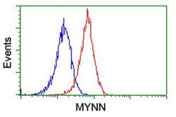 MYNN Mouse anti-Human, Clone: OTI1F10, lyophilized, TrueMAB 100 &mu;g;