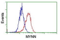 MYNN Mouse anti-Human, Clone: OTI3B9, lyophilized, TrueMAB 100 &mu;g; Unconjugated:Antibodies,