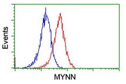MYNN Mouse anti-Human, Clone: OTI3B9, lyophilized, TrueMAB 100 &mu;g; Unconjugated:Antibodies,
